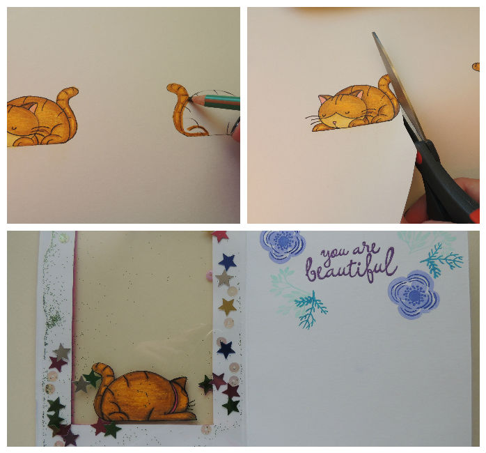 collage gato dormilon