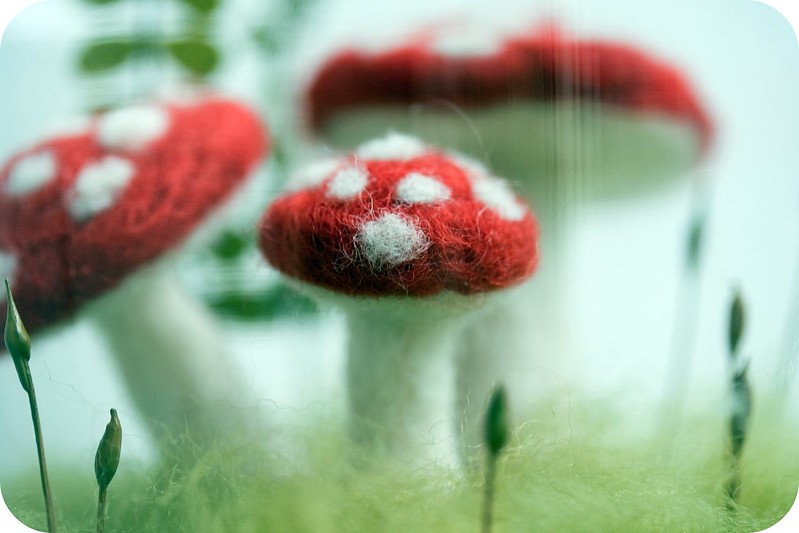 5231812743_c24e68b575_c