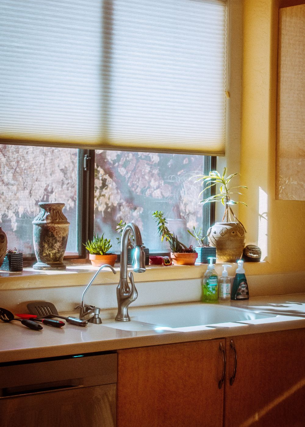 Como decorar una cocina con plantas3